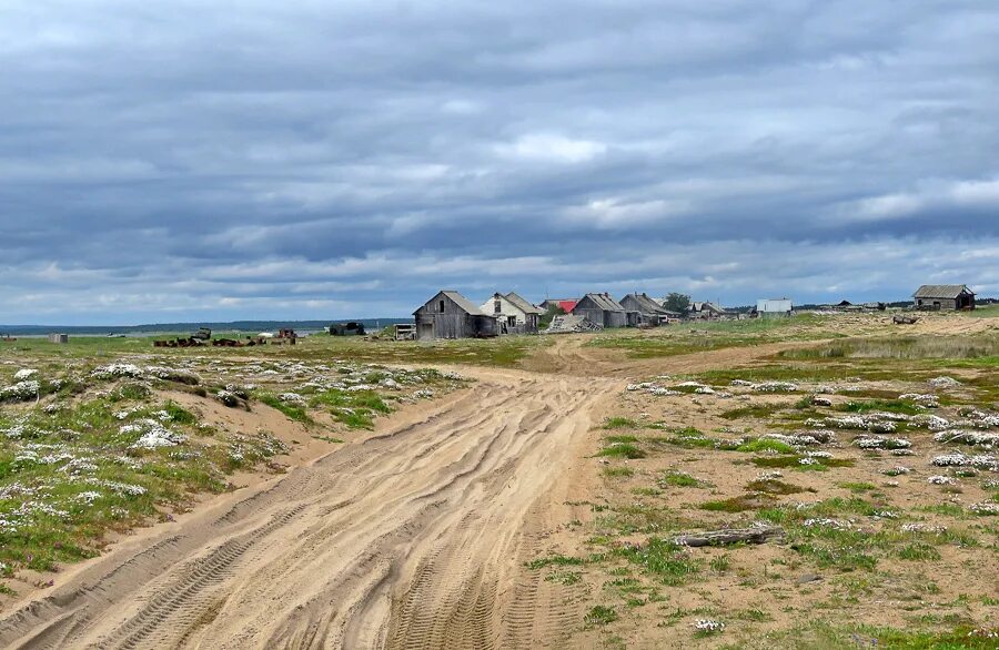 Село кузомень мурманская область. Кузомень мурманская область пески. Кольский полуостров кузомень. Село кузомень кольский полуостров. Кузомень мурманская область.
