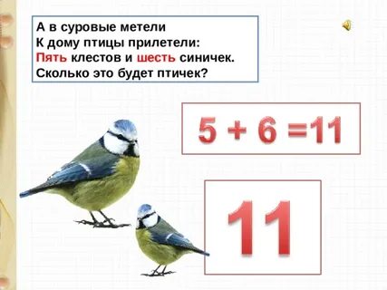Птица сколько звуков