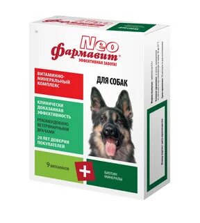 Собака нео