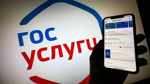 Госуслуги днр записи