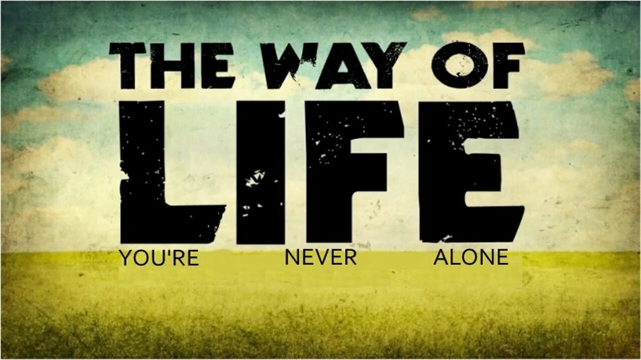 Ways of Life. The way you Live. Картинки из приложения way of Life. What a Life (Ep).