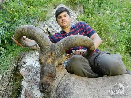 Даг тур