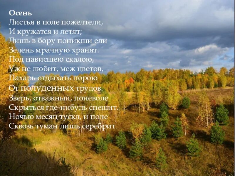 М ю лермонтов стихотворения осень. Лермонтов листья в поле пожелтели. Листья в поле пожелтели и кружатся и летят. Лермонтов осень. Осень Лермонтов стих.