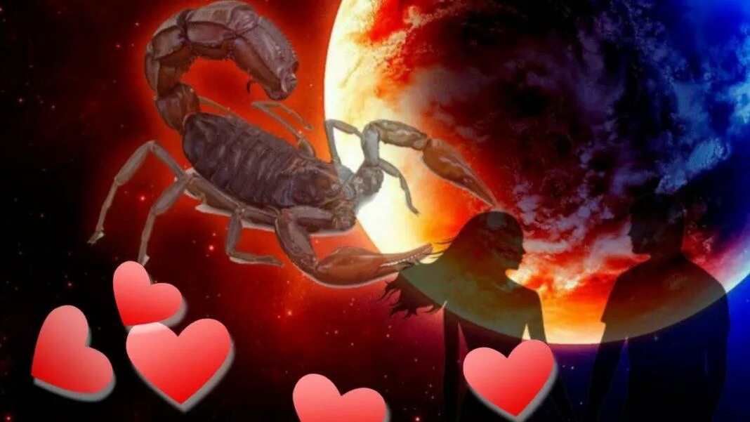 Влюбленные Скорпионы. Женщина Скорпион. Влюблённый Скорпион. Скорпион поцелую