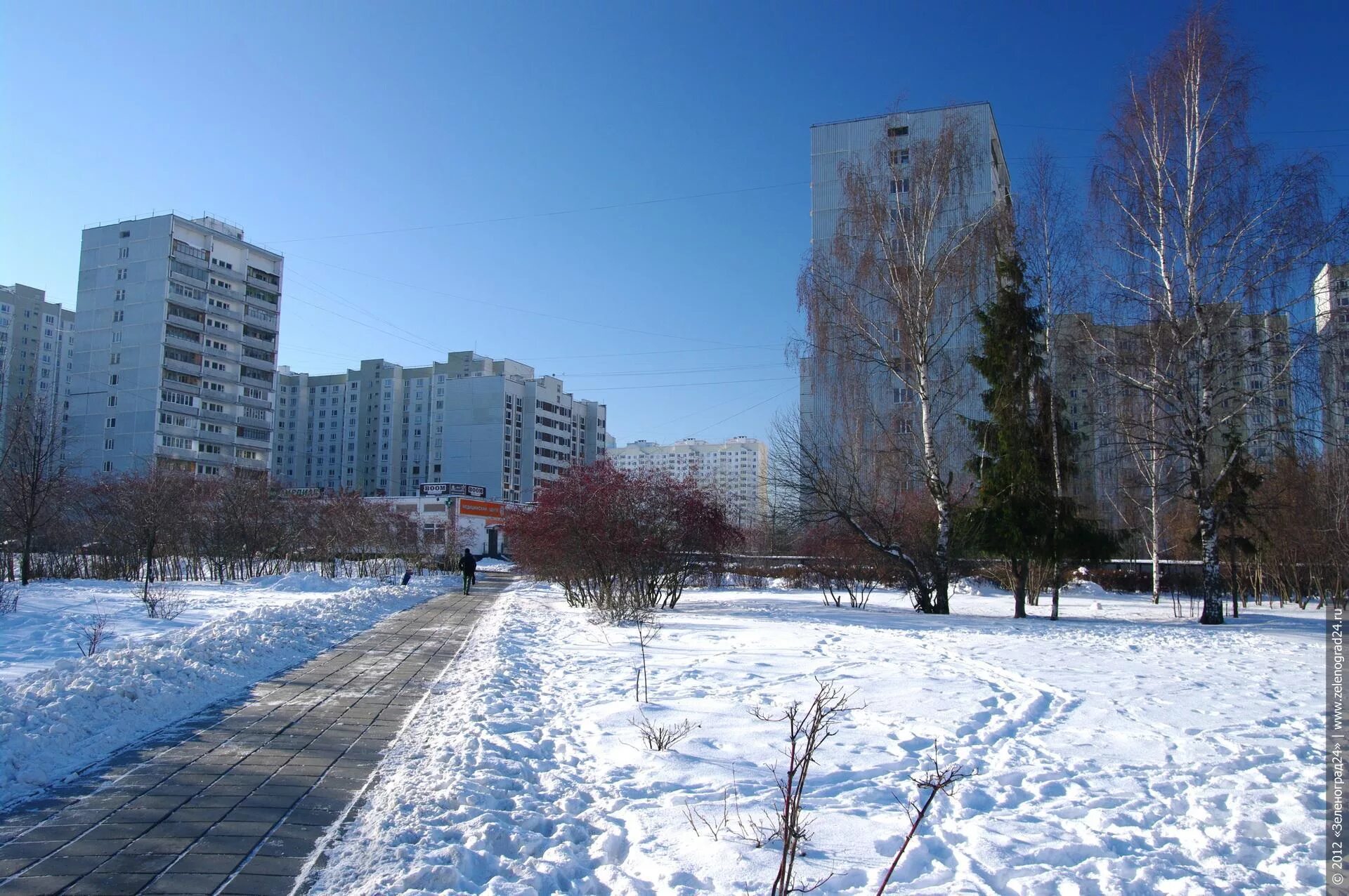Зеленоград новый год мжк. Зеленоград зимой. Зеленоград зима в городе. Парк зеленоград зима. Зеленоград мжк зима.