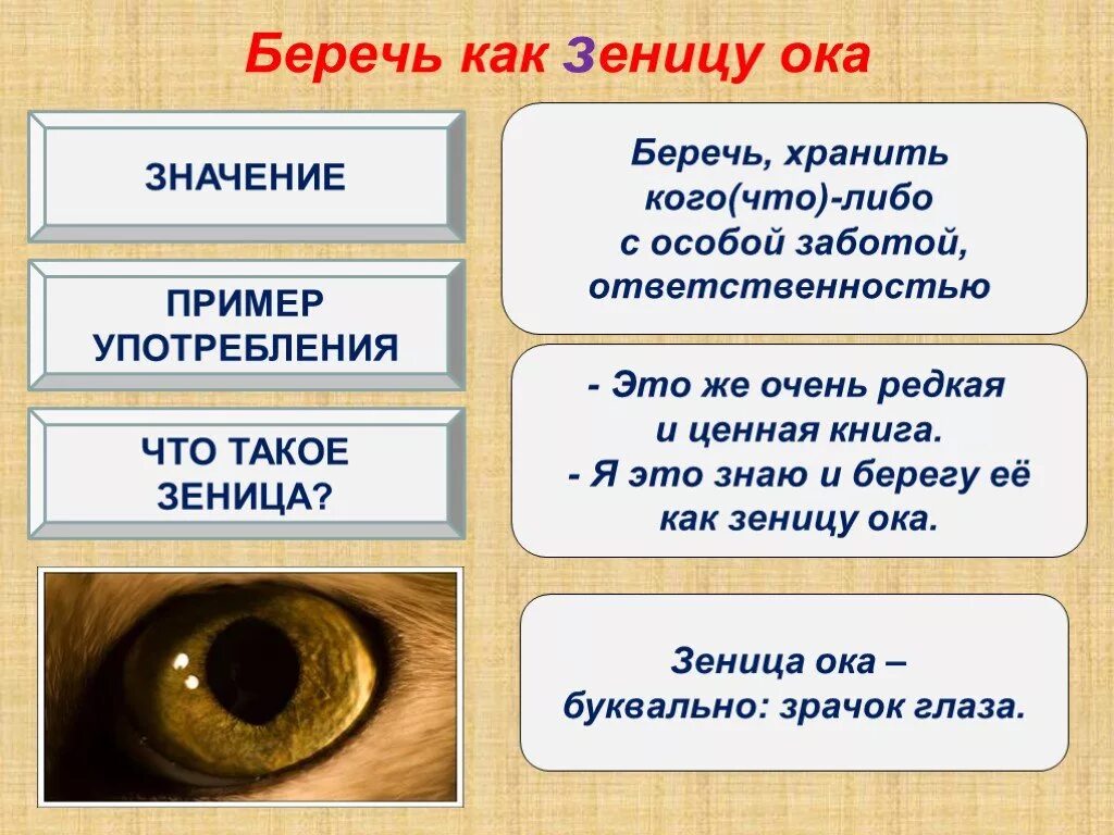 Что означает кто. Беречь как синица окая. Беречь как зеницу Ока. Фразеологизм беречь как зеницу. Беречь как зеницу Ока фразеологизм.