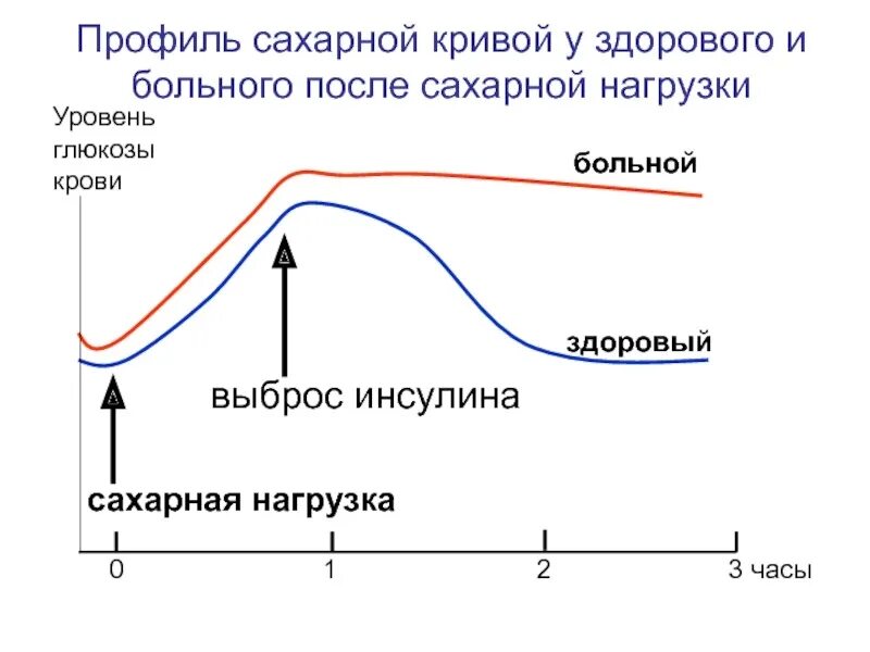 Сахарный тест. Сахарная кривая показатели нормы после Глюкозы. График нормальной сахарной Кривой после нагрузки глюкозой. Сахарная кривая толерантности Глюкозы. Сахарная кривая при снижении толерантности к глюкозе.