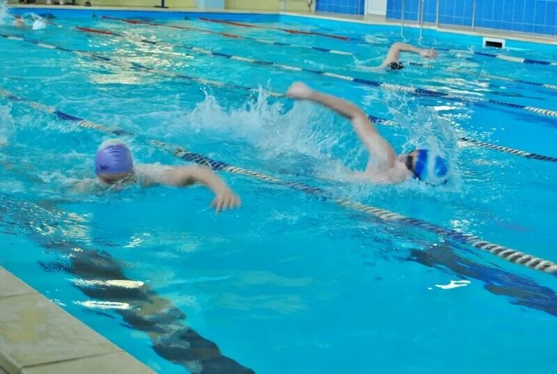 Елизавета цуканова гто плавание. Гто плавание дети. Плавание гто дети. Гто плавание 25 метров. Картина соревнования по плаванию.