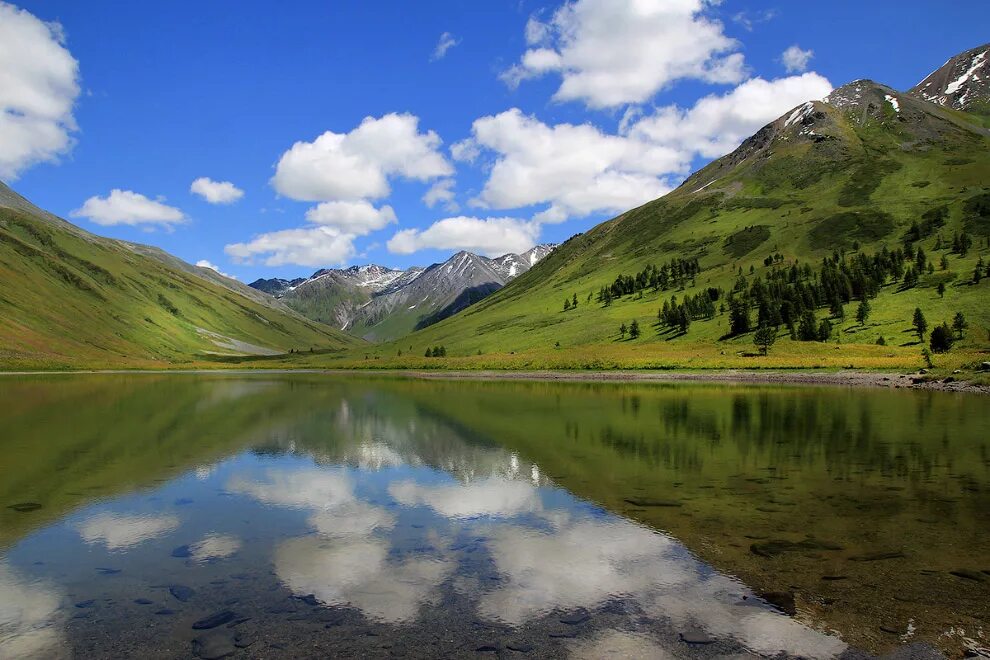 Республика алтай какая сибирь. Гора Белуха Алтай. Река Белуха Алтай. Белуха Восточный Казахстан. Природа Алтая Белуха.