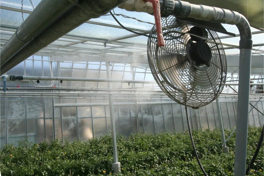 Фогеры туманообразования для теплиц. Система охлаждения теплицы. Тепловентиляторы для теплиц. Увлажнитель воздуха для теплицы.