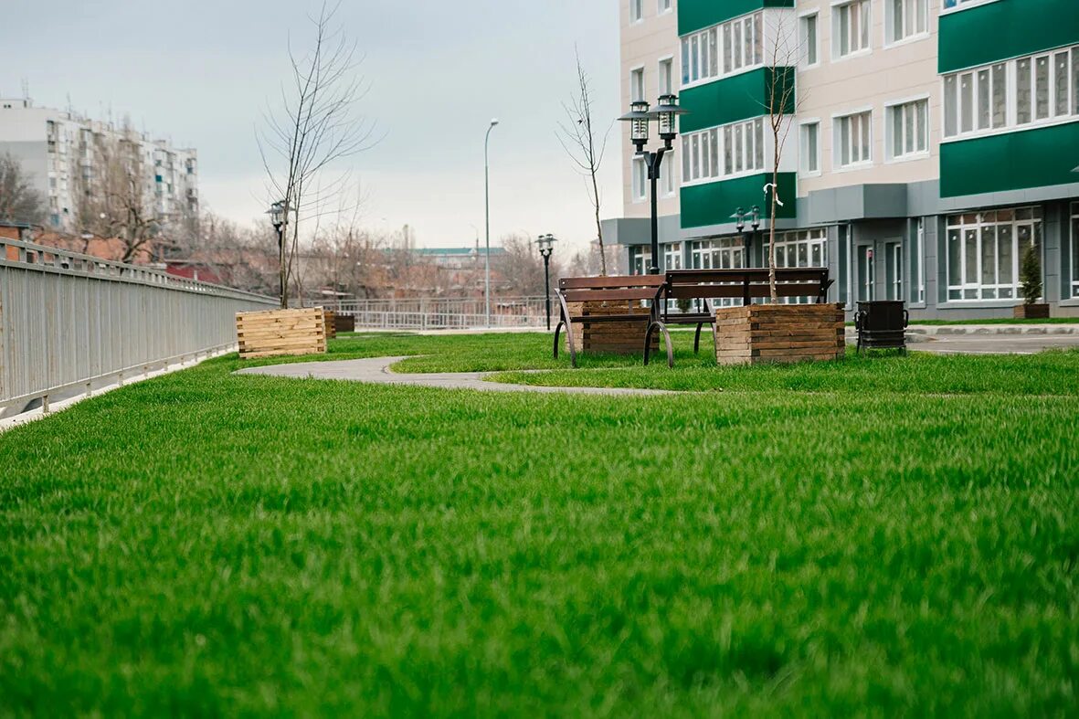 Green омск. Грин парк Владикавказ. Грин парк Омск. ЖК Грин парк Владикавказ. Школа Грин парк.