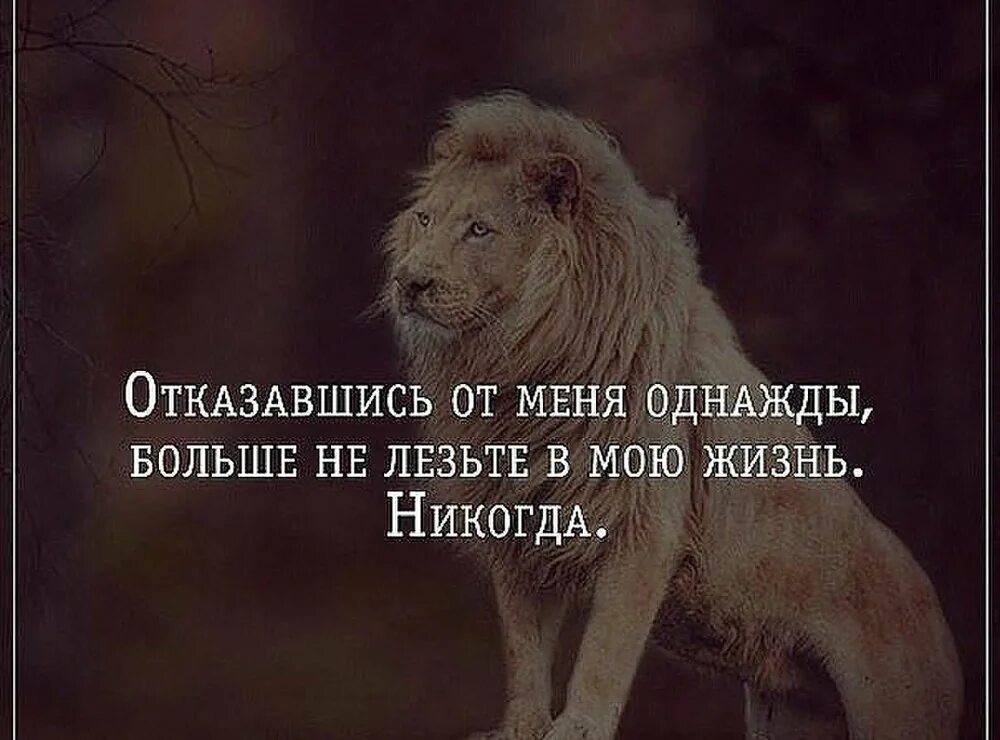 Никогда в жизни читать. Отказавшись от меня однажды. Отказавшись от меня однажды больше не лезьте в мою жизнь. Отказавшись от меня однажды больше. Отказавшись от меня однажды цитата.