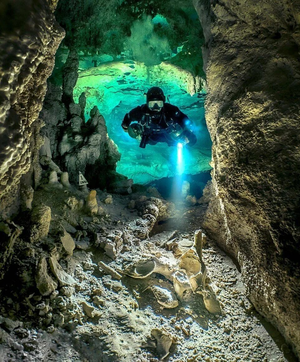 Вертикальная пещера затоплена водой можно найти уровень. Сенот дайвер Мексика. Подводные пещеры Юкатана. Карстовые озера Мексика Сенот. Мексика Сеноты дайвинг.