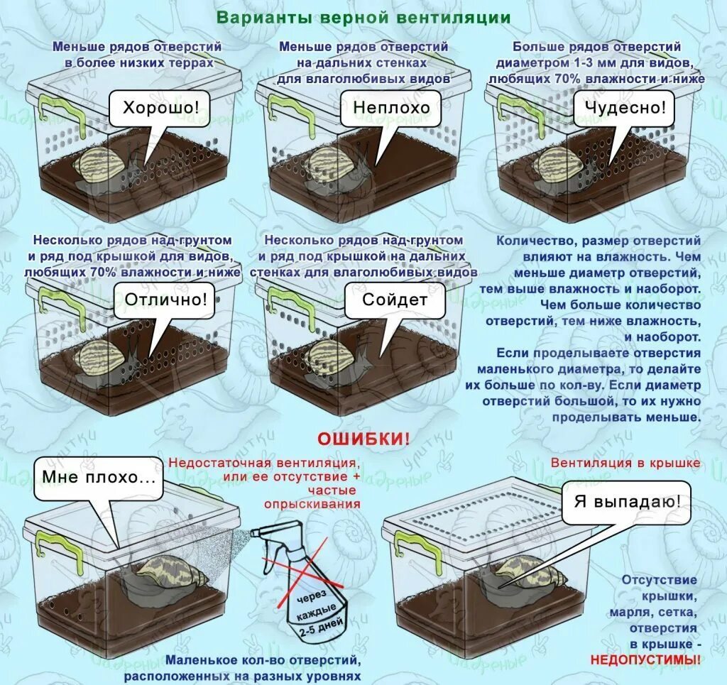 Вентиляция в террариуме для улиток ахатин. Вентиляция для улиток ахатин в контейнере. Как правильно сделать вентиляцию в контейнере для улиток ахатин. Контейнер для улиток ахатин. Дырочки что надо