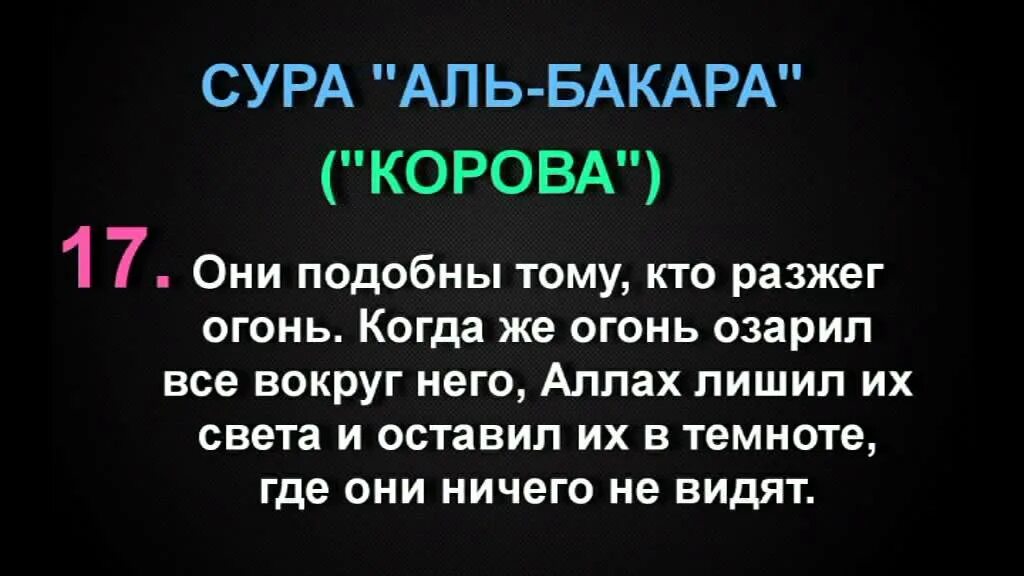 Молитва аль бакара. Сура Аль-Бакара Сура корова от сглаза. Сура от сглаза Албакара. Сура корова аяты. Сура Аль корова.