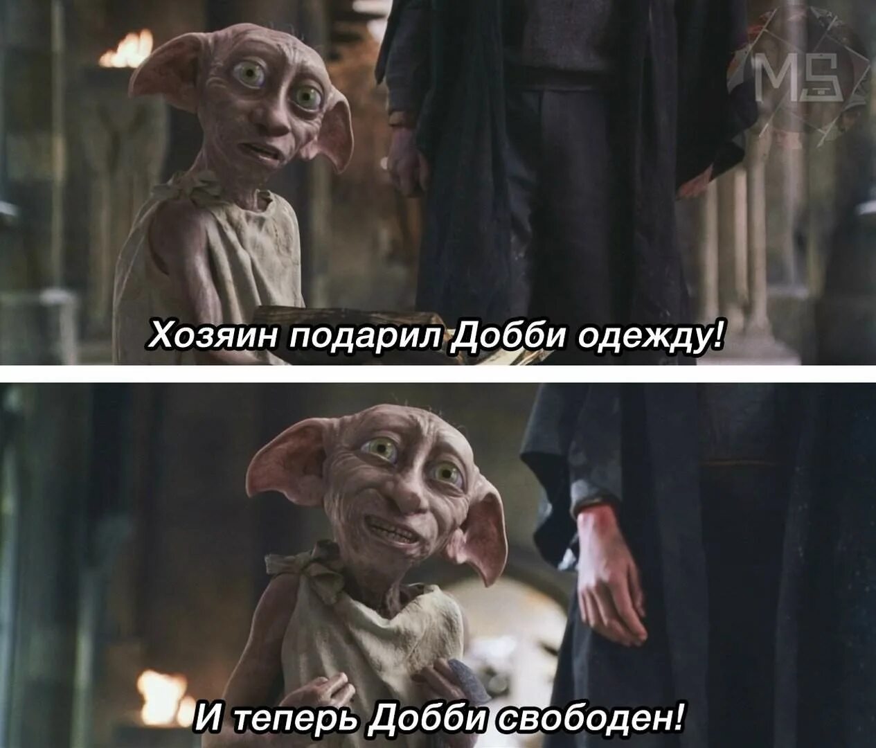Хозяин добби и носок. Добби свободен из гарри поттера. Добби свободен диплом защищен. Добби свободен мем. Добби в шапках гермионы.