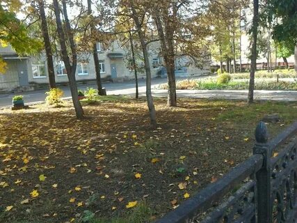 107 сад липецк