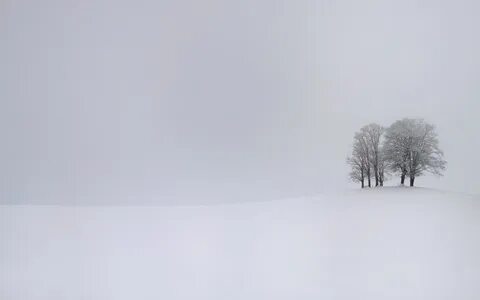 Snow белый