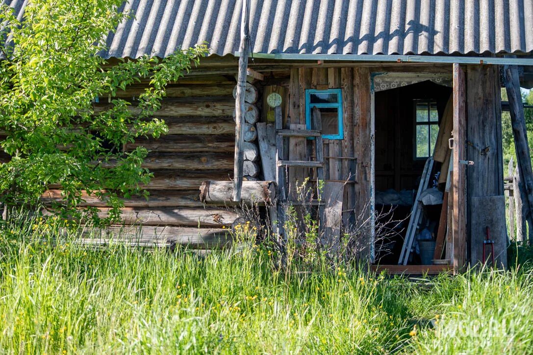 Таинственная деревня 2. Деревня свеженькая Рязань Мордовия. Станция свеженькая Рязанская область. Деревня роговое Милославский район Рязанская область. Свеженькая Шацкий район Рязанская область.