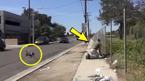 Случилось невероятное