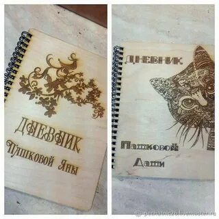 Эксклюзивные дневники