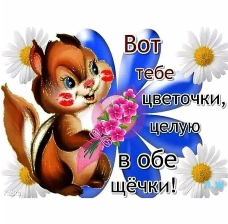 Целую твои щечки. Тебе цветочки целую в обе щечки. вот тебе цветочек. тебя чмоки в обе щеки. вот тебе цветочки целую.