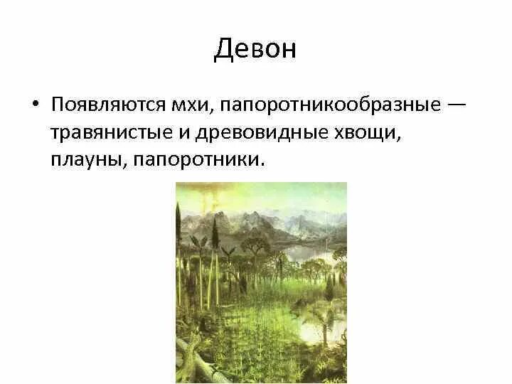 Мхи палеозойской эры. Хвощи палеозойской эры. Появление моховидных Эра. Эра и период появления и вымирания моховидных.