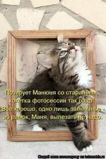 Со всем усердием и со всею