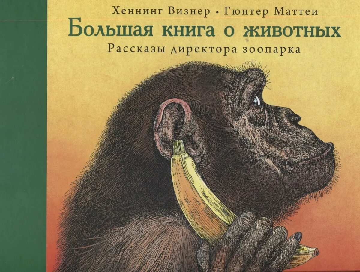 Animal рассказы. Книга рассказы о животных. Книга про животных в зоопарке. Большая книга животных. Большая книга о животных рассказы директора зоопарка.