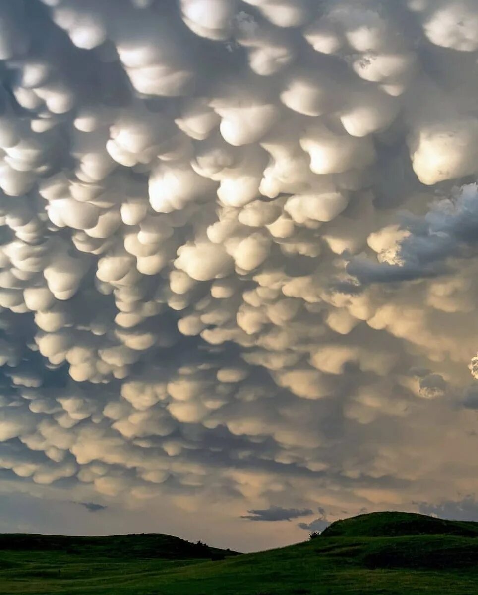 Множество круглых облаков. Облака мамматус атмосферное явление. Атмосферные явления. Климатическое оружие харп облака. Множество круглых облаков.