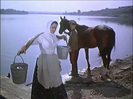 Тихий дон 2 5 2