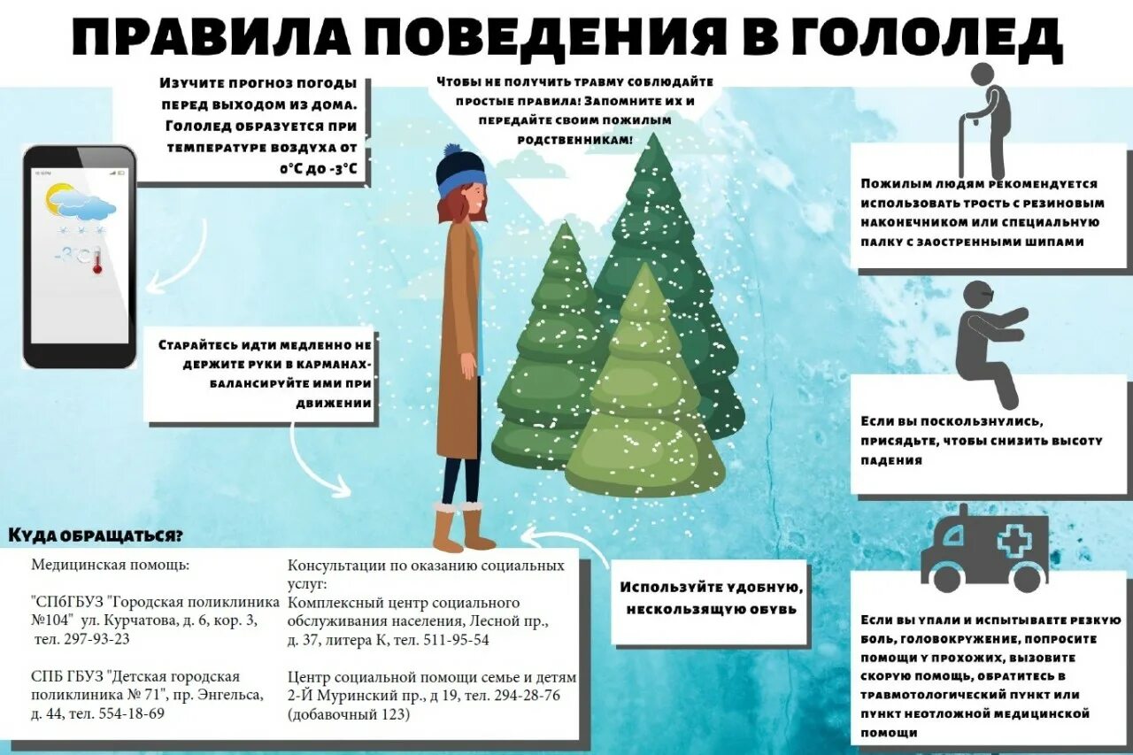Поведение при падении дерева на человека. Поведение при падении дерева на человека