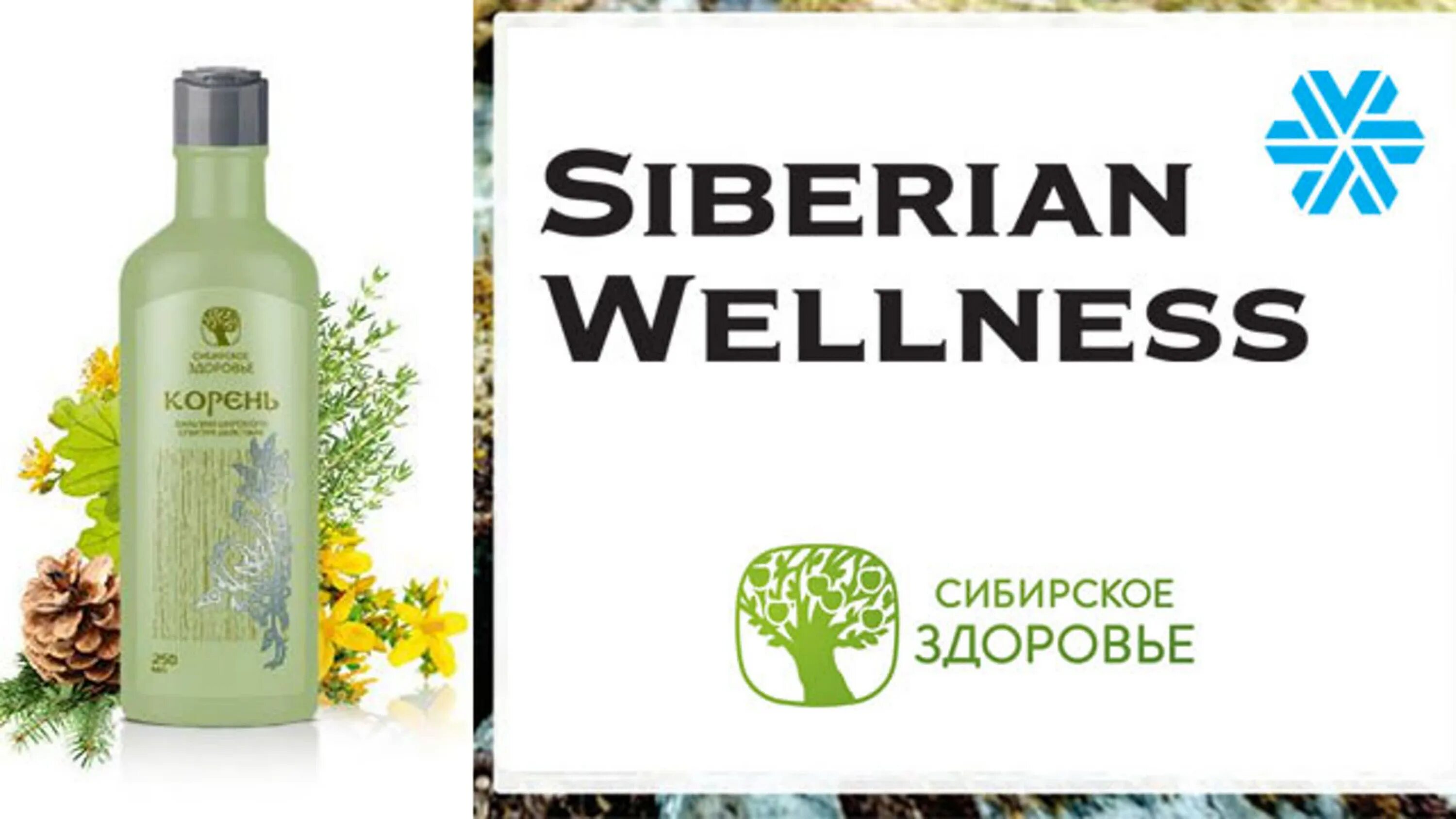 Сибирское здоровье 44. Сибирское здоровье Wellness Siberian Wellness. Сибирское здоровье Siberian Wellness логотип. Продукция Сибирское здоровье сибириан велнес. Баннер Сибирское здоровье Siberian Wellness.