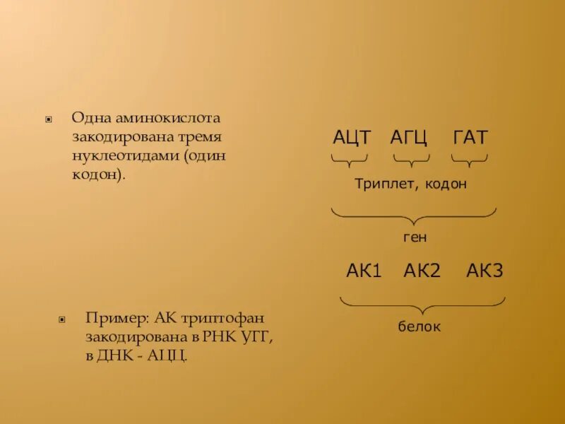 Одна аминокислота кодируется тремя. Одна аминокислота кодируется тремя нуклеотидами. Кодоны аминокислот. Один кодон одна аминокислота это.