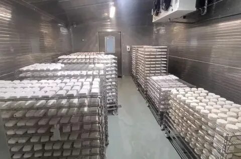 Производство с года ростов