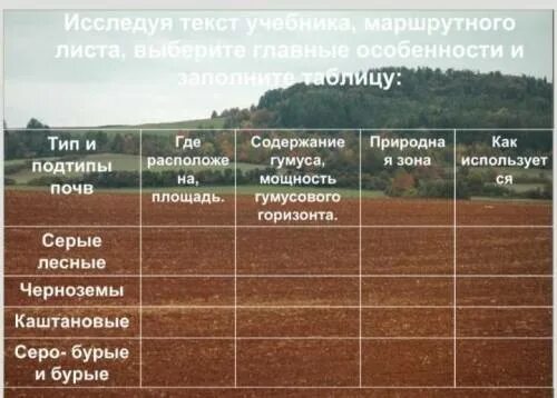 Подтипы почв таблица. Типы почв России таблица. Типы почв содержание гумуса. Типы и подтипы почв. Наибольшее содержание гумуса в почве