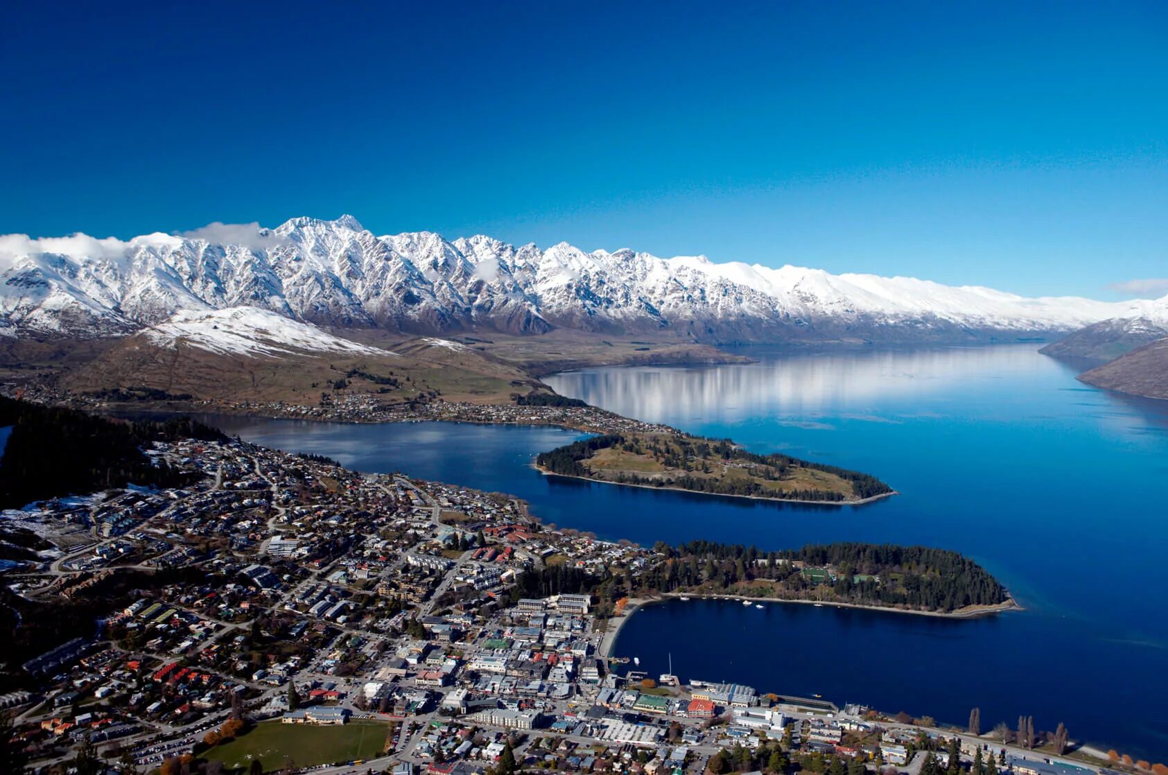New zealand number