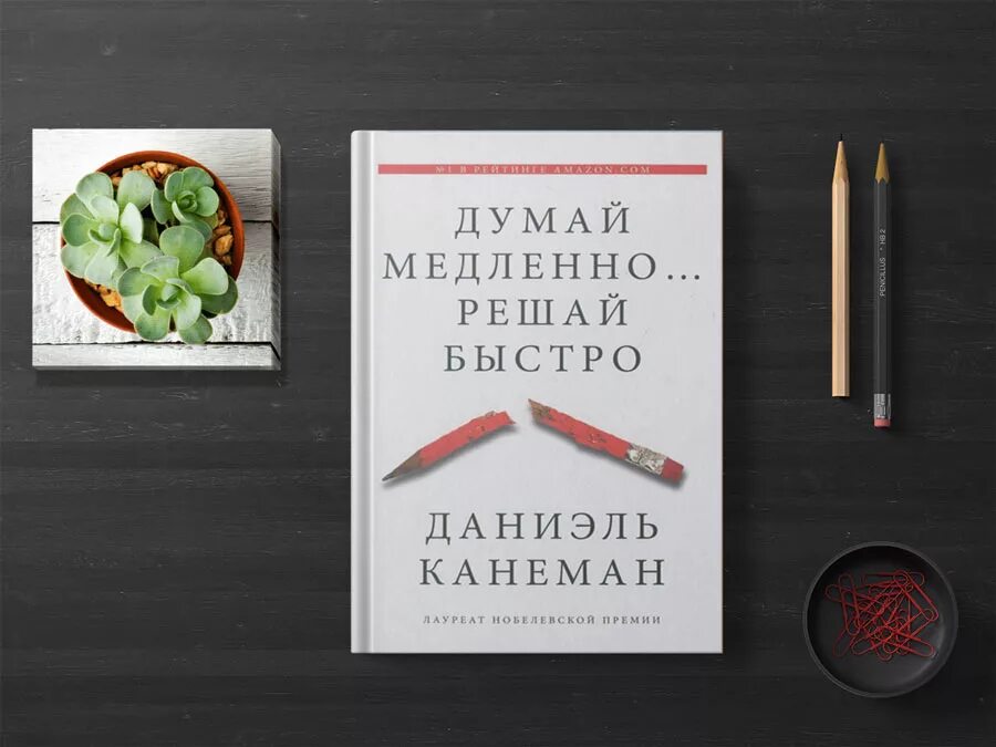 Даниэль Канеман думай медленно решай быстро. Даниэль Канеман. «Думай медленно… Решай быстро» (thinking, fast and Slow, 2011). Даниэль Канеман книги. Думай медленно решай быстро книга. Аудиокнига даниэль канеман думай медленно