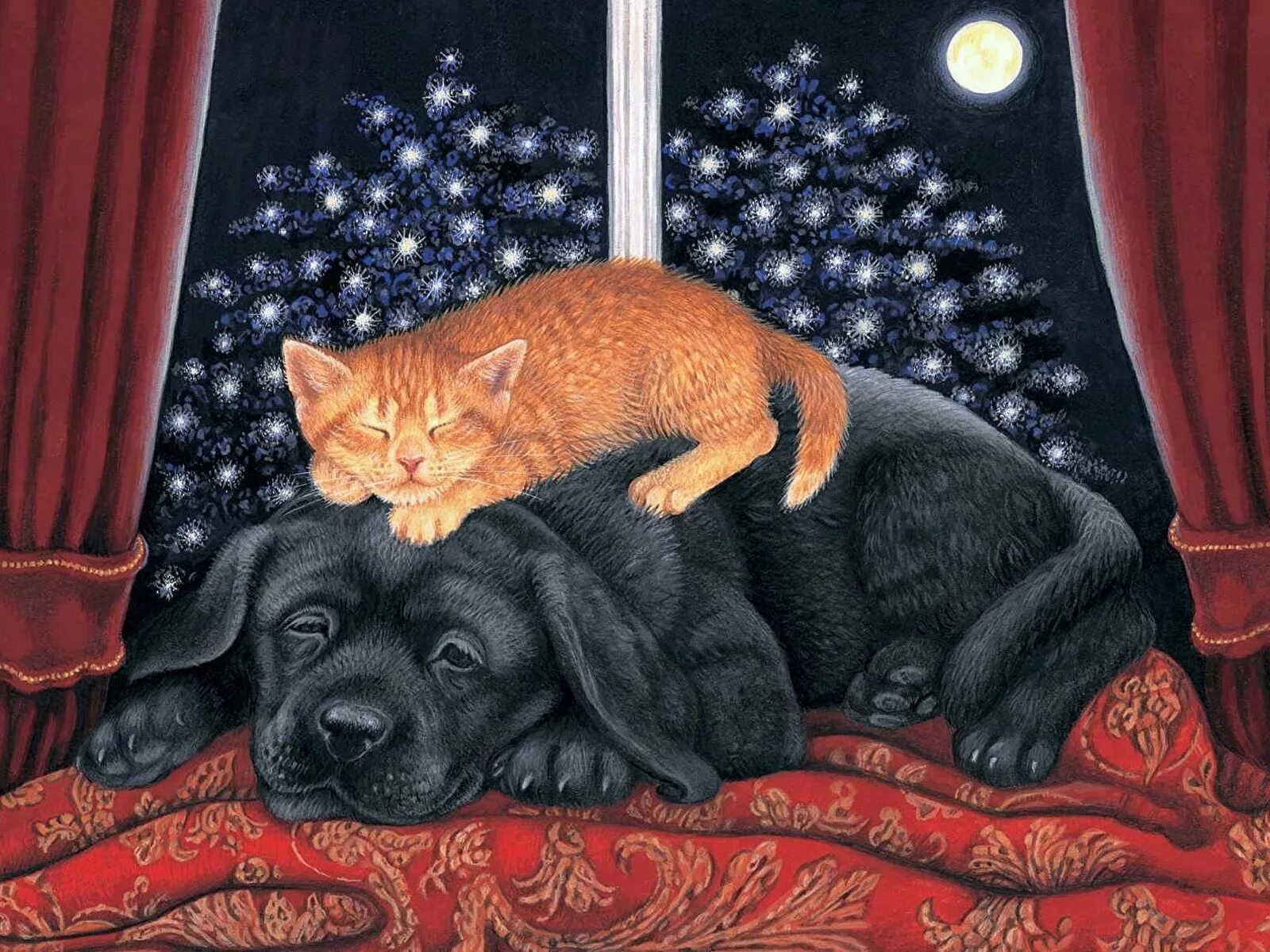 Картинки добро ночи с животными