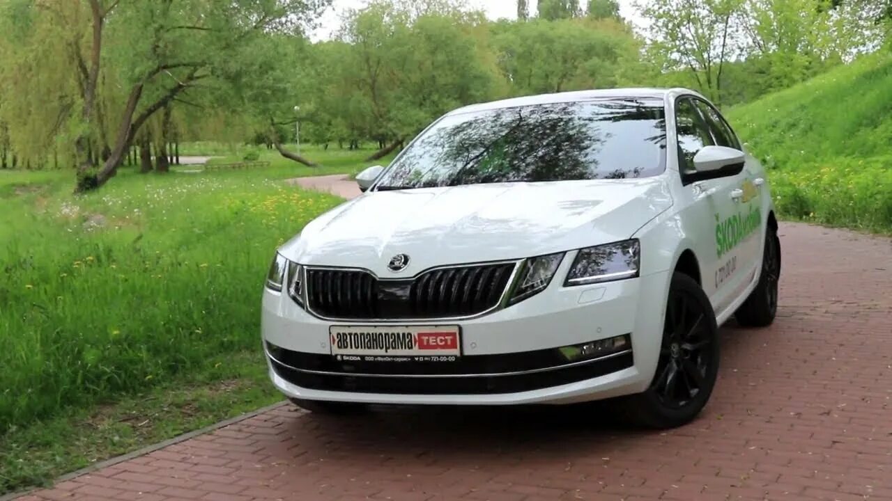 Skoda Octavia 2019. Skoda тест драйв.