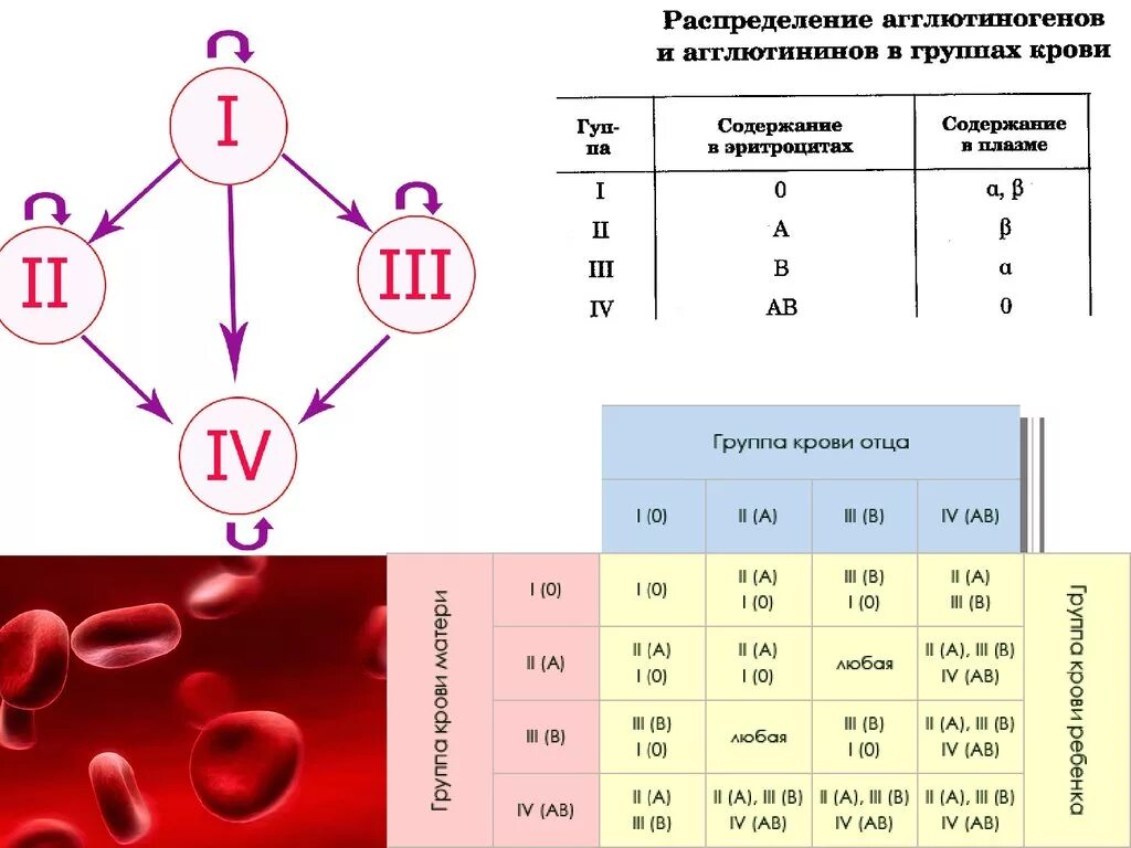 Подходящая группа крови к 2. Группы крови схема переливания крови резус-фактор. Группы крови таблица наследования с резусом фактором. Таблица переливания крови с резус фактором. Наследование групп крови генетика.