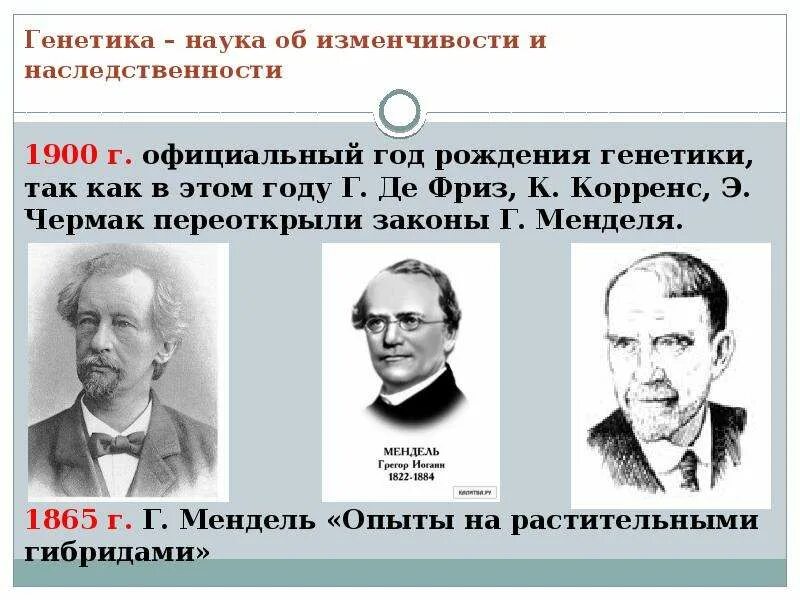 Генетик закон. Генетика как наука. законы наследственности и изменчивости. законы генетики. основы наследственности генетика.