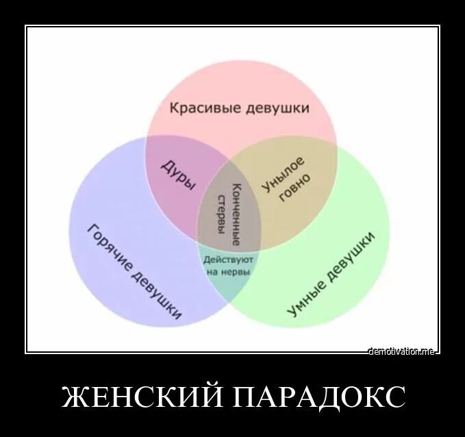 Шуточные парадоксы. Парадокс шутка. Парадоксы жизни. Парадокс прикол. Нюансы выбора