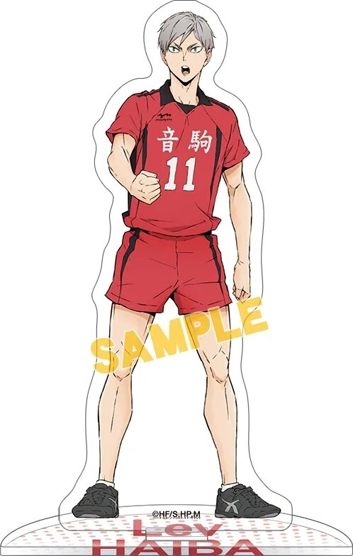 Львы про волейбол. Волейбол лев хайба в полный рост. лев хайба рост. лев хайба в полный рост. хайба лев волейбол рост.