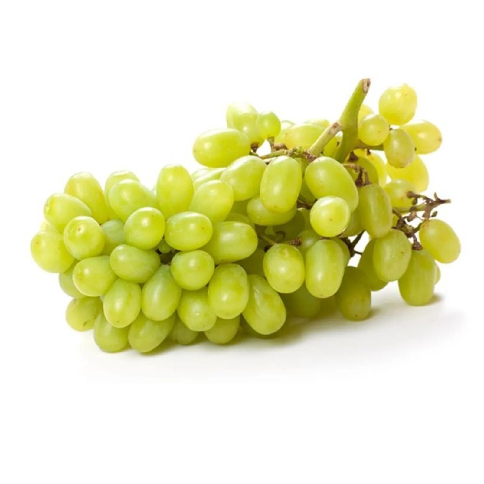 Green seedless grapes. Виноград кишмиш Цитронный. Виноград КИШ-Миш Ливия. Виноград КИШ Миш Арарат. Кишмиш цитронный