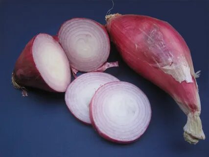 Маленький лук