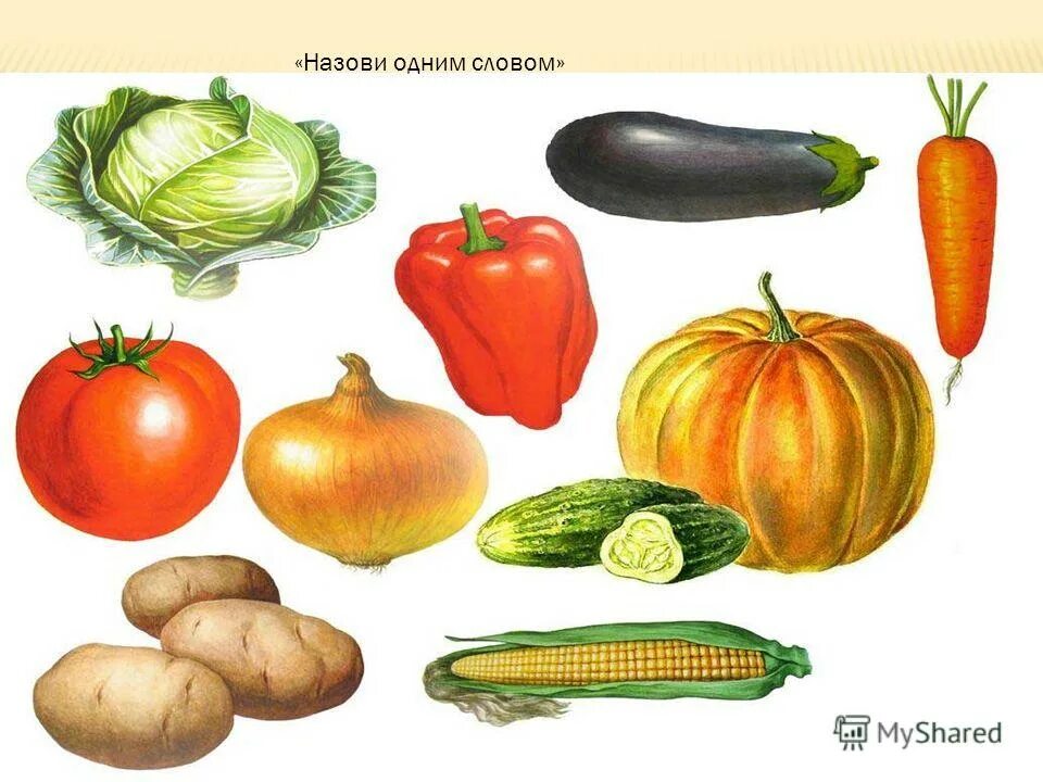 разряды чисел единицы десятки сотни. десятки числа. задания на обобщение предметов. математические игры для школьников. обобщение задания для детей.