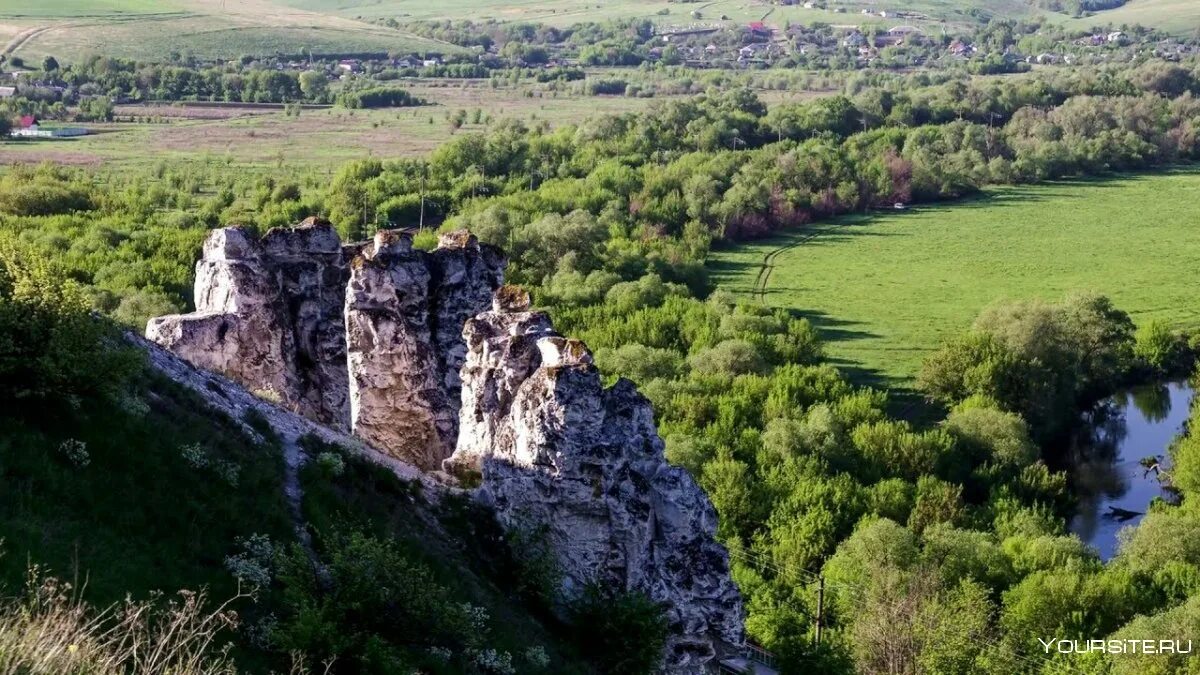 Музеи заповедники воронежской области. Музей-заповедник Дивногорье в Воронежской. Воронеж заповедник Дивногорье. Меловые горы в Воронежской области Дивногорье. Дивногорье Лискинский район.