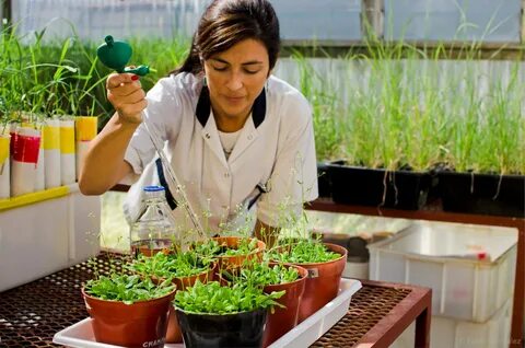 Plant lab