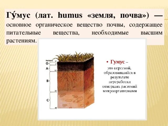 Из чего состоит почва тест
